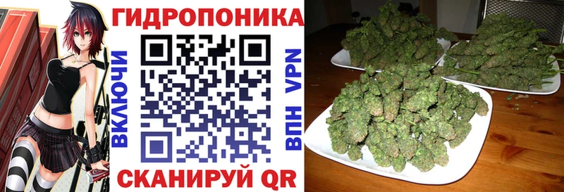 Купить Дербент ссылка на мегу маркетплейс  КОКАИН  ГАШИШ  Канабис 