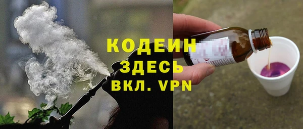 мет Ельня