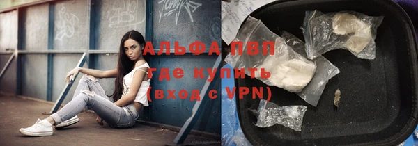 мет Ельня