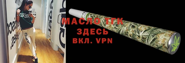 мет Ельня