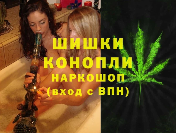 мет Ельня