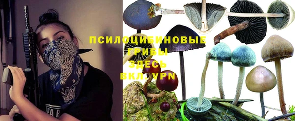 мет Ельня