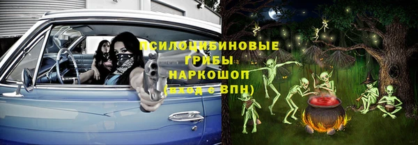 альфа пвп Елизово