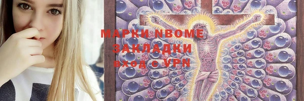 мет Ельня