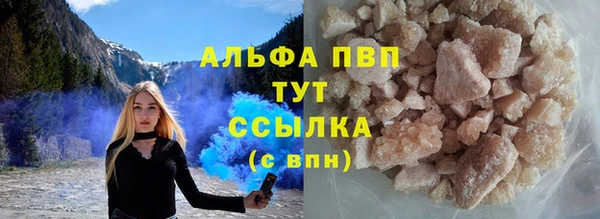 мет Ельня