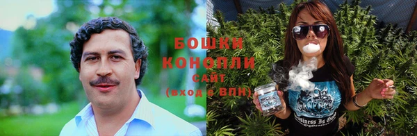 мет Ельня