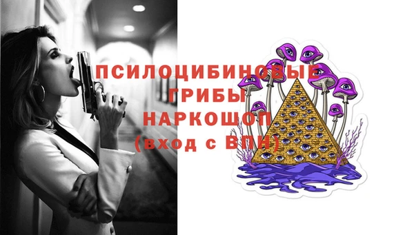 мет Ельня