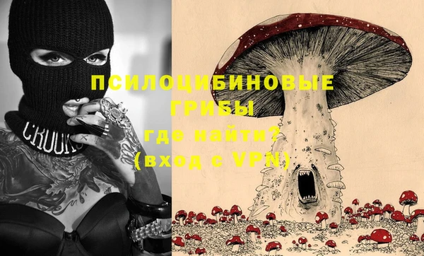 альфа пвп Елизово