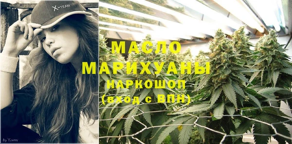 мет Ельня