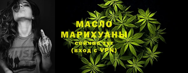 мет Ельня