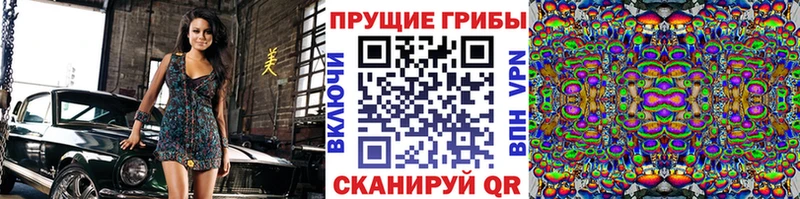 цены   мега как зайти  Псилоцибиновые грибы Cubensis  Дербент 